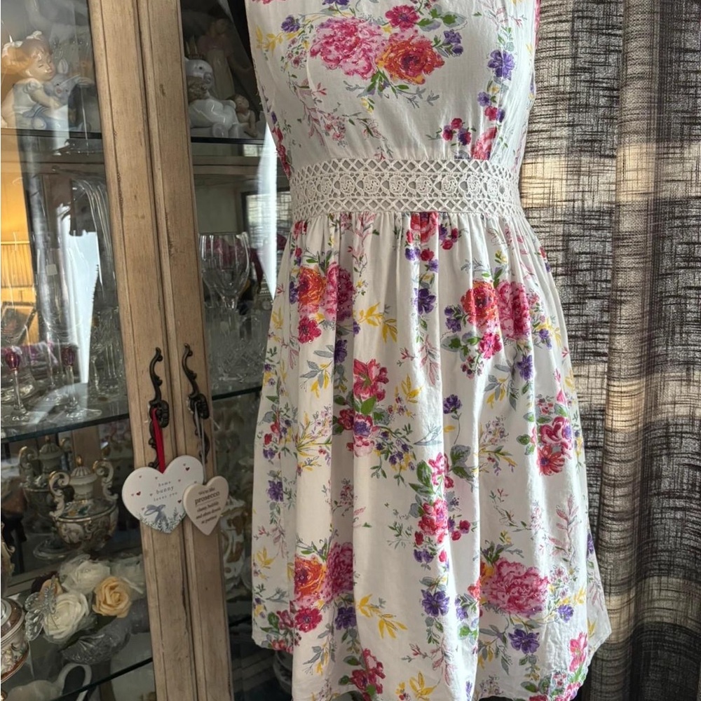 Dorothy Perkins Multicolor Floral Dress